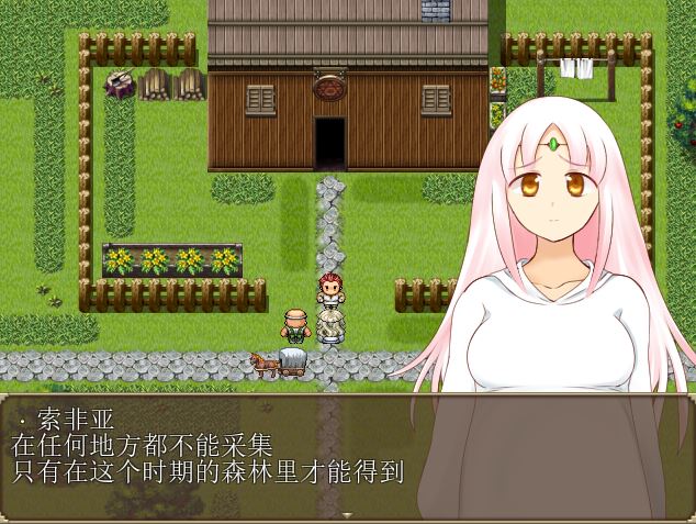[PC][RPG]妖精奇迹般的幻想-[精翻中文版]-菁选游戏宝库