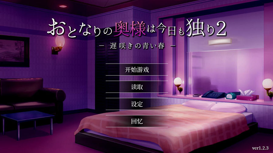 [PC][SLG]隔壁太太今天也独自一人2 V1.2.3[230809]-[蒸汽官中版]-菁选游戏宝库