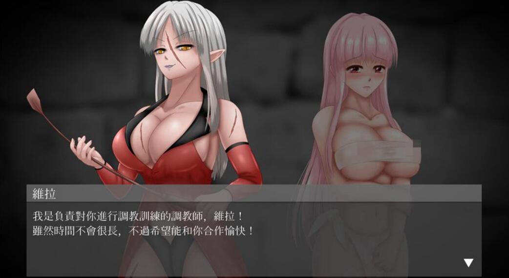[PC][SLG]UnHolY ToRturEr V1.03+逃出间狱DLC[蒸汽官中版]-菁选游戏宝库