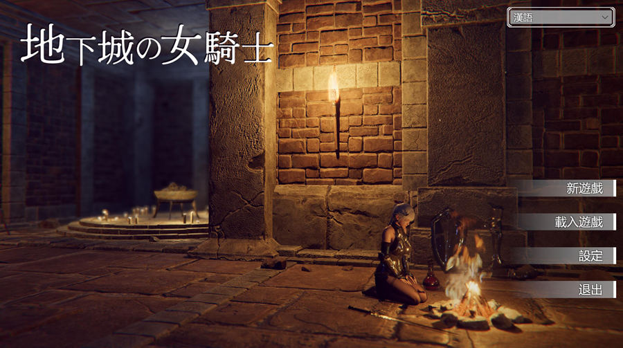 [PC][ACT]地下城的女骑士-[蒸汽官中版]-菁选游戏宝库