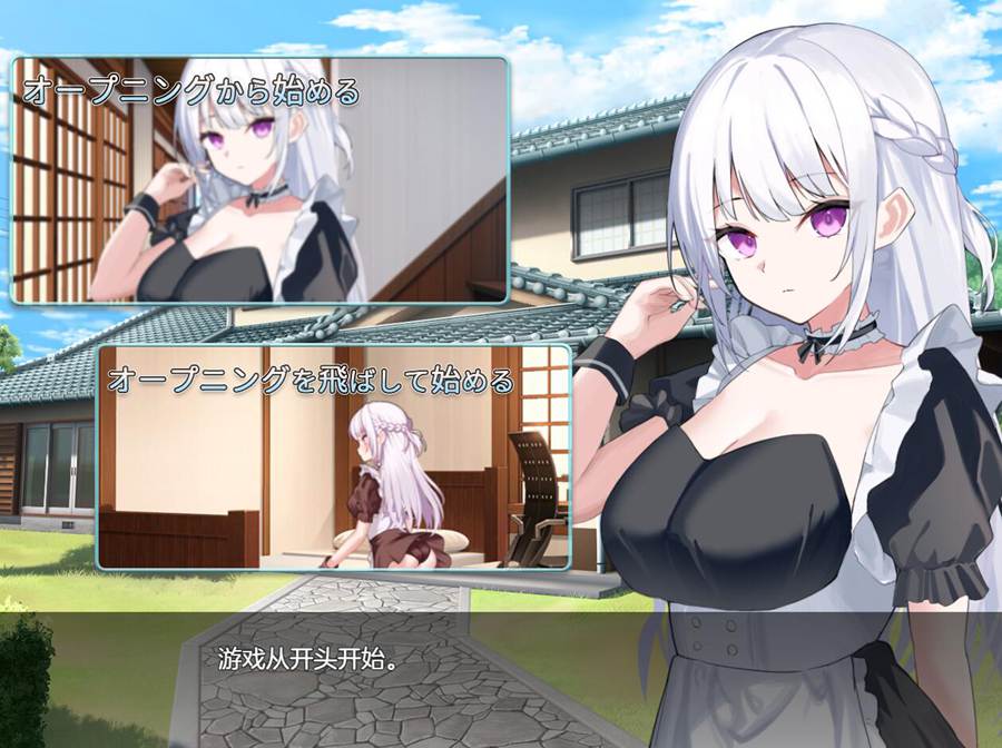 [PC][SLG]主人,接下来请让我向你复仇吧/ご主人様,これから復讐させていただきますver4-[AI挂载中文版]-菁选游戏宝库