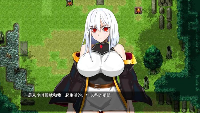 [PC][RPG]魔法之里繁荣事情~天才魔法少女玛丽与黑暗仪式v1.05-[AI内嵌中文版]-菁选游戏宝库